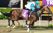 Speedy Cat and Manoel Nunes on their way to victory in the Group 3 Merlion Trophy in March.<br>Photo by Singapore Turf Club